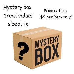 mystery box size xl-1x  ( 6pc  ) price firm $5 per item sweater, bl…